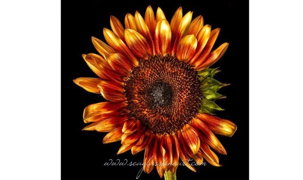 Big image mini magick20180206 92193 1xhgesu