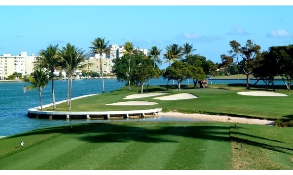 Big image mini magick20230831 10626 1pnu9h5