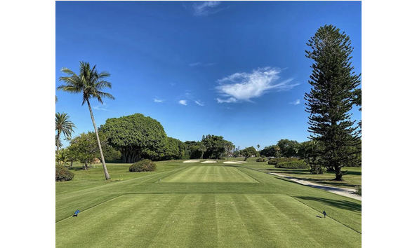 Big image mini magick20230831 10626 jyai0g