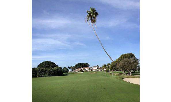 Big image mini magick20230831 10626 359ids