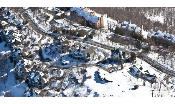 Big image big image wintergreen3