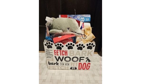 Big image 20230901 131954