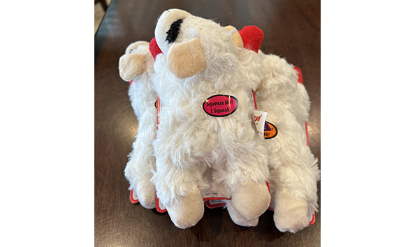 Big image lamb chop stuffy 1   jennifer jablonski