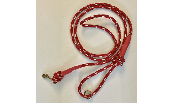 Big image leash red white   jennifer jablonski