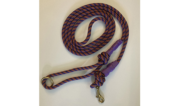 Big image leash purple orange yellow   jennifer jablonski