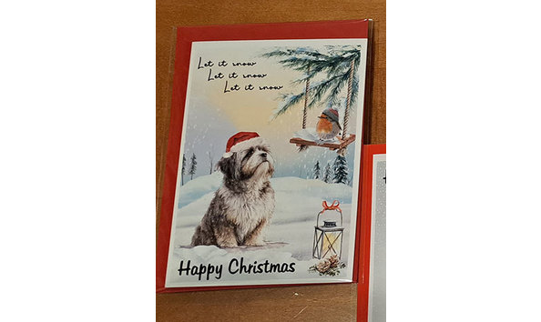 Big image havanese dog christmas cards 2   jennifer jablonski