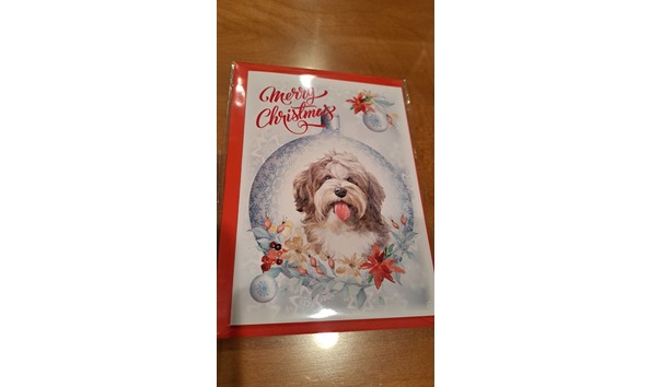 Big image havanese dog christmas cards 3   jennifer jablonski