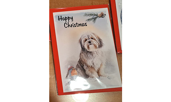Big image havanese dog christmas card 4   jennifer jablonski