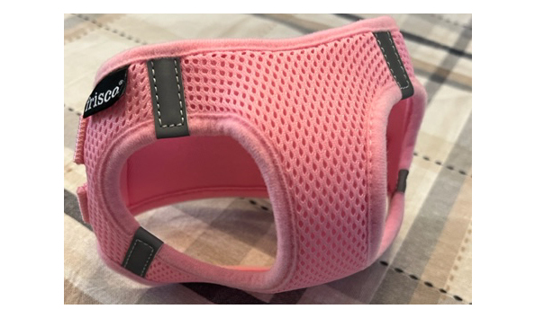 Big image frisco harness 1   jennifer jablonski