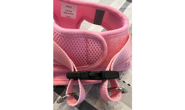 Big image frisco harness 2   jennifer jablonski