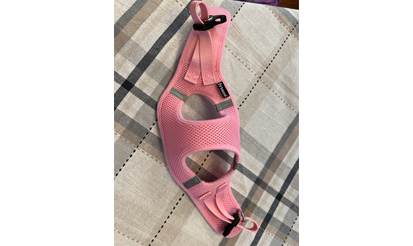 Big image frisco harness 3   jennifer jablonski