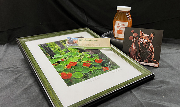 Big image egg collecting kline creek farm