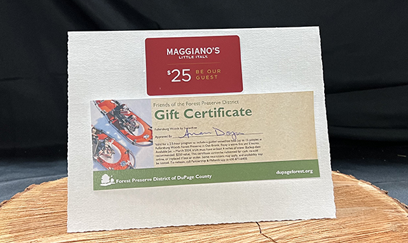 Big image fullersburg woods by snowshoe