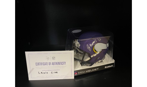 Big image vikings mini