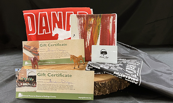 Big image horse and quail wagon