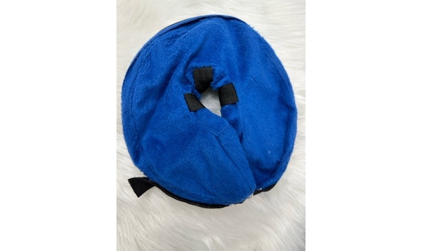 Big image kongblowupcollar 1   jennifer jablonski