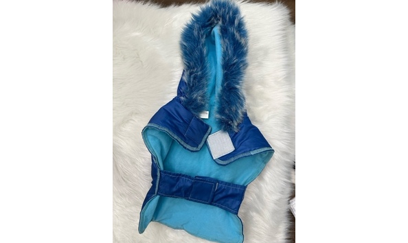 Big image royalbluehoodedparka 1   jennifer jablonski