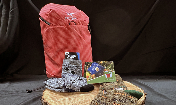 Big image cardinal red backpack