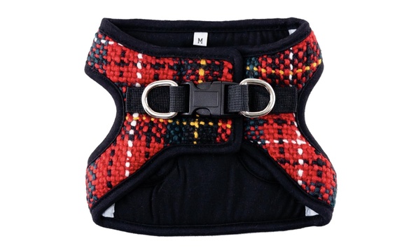 Big image harness 1   jennifer jablonski