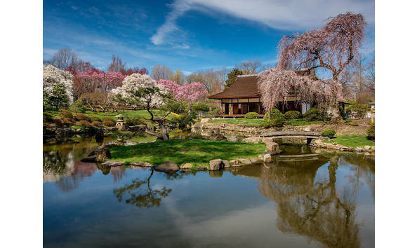 Big image mini magick20230907 17423 xgo9vk