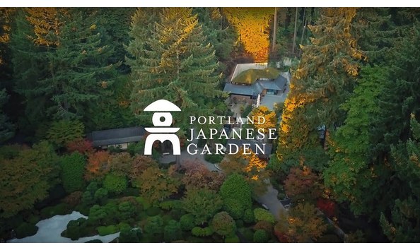 Big image mini magick20230907 17423 7dm8pc