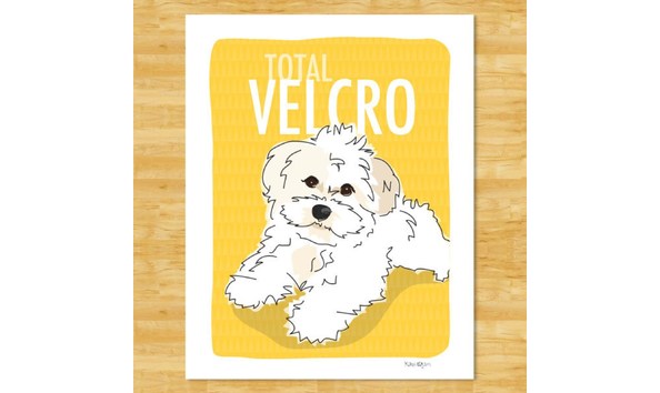 Big image havaneseartprinttotalvelcro 1   jennifer jablonski