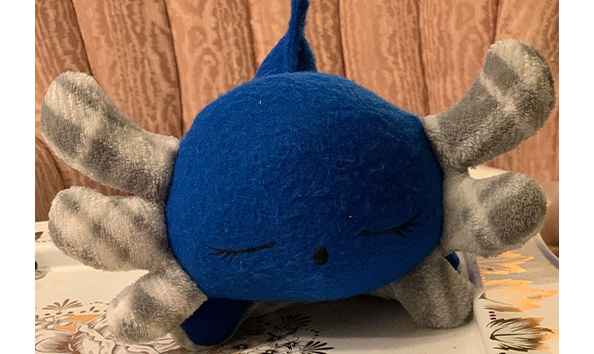 Big image 202309atcon005 3   extra love ragaluffin   axolotl