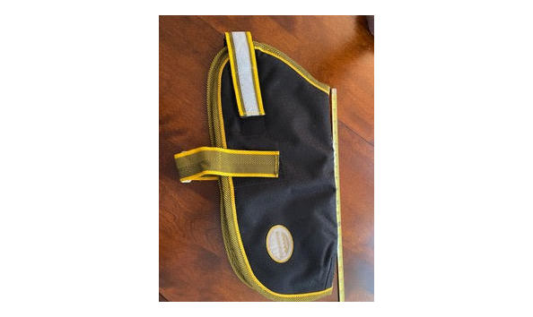 Big image reflectivedogjacket 1   jennifer jablonski