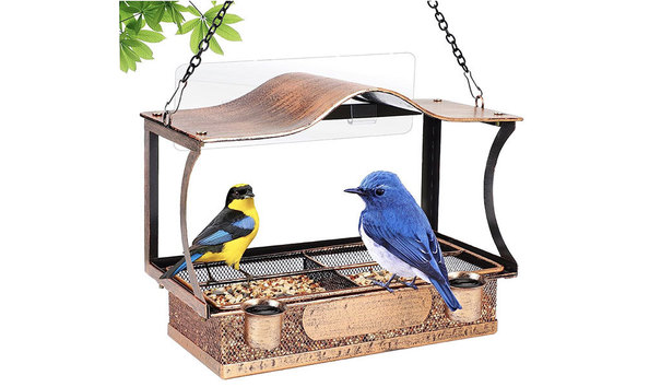 Big image windowbirdfeeder 1   jennifer jablonski