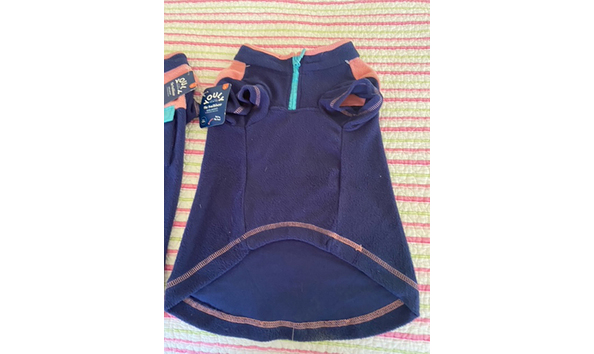 Big image mini magick20230911 52448 1salpll