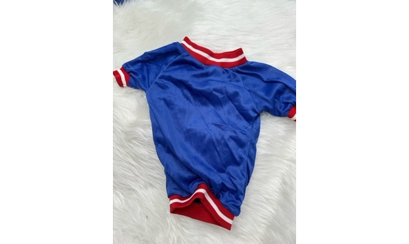 Big image mini magick20230911 52448 qg6c