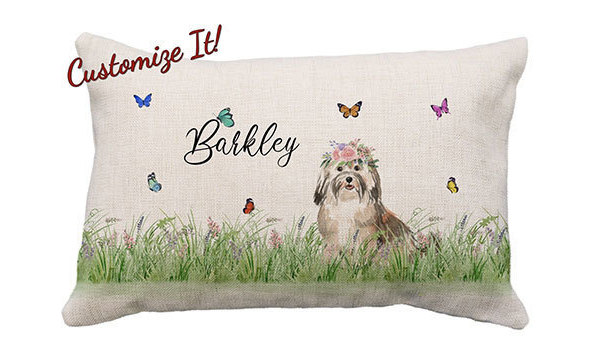 Big image mini magick20230911 52448 1umg4dv