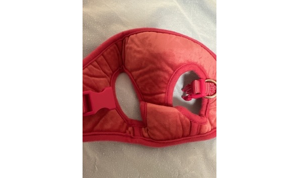 Big image mini magick20230911 52448 1o4wmkx