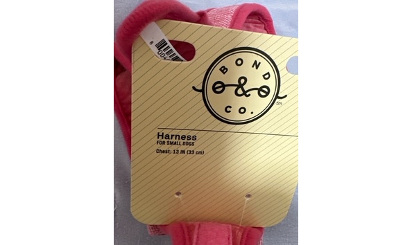 Big image mini magick20230912 52448 nmlqfx