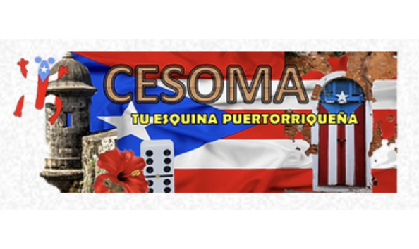 Big image cesoma logo