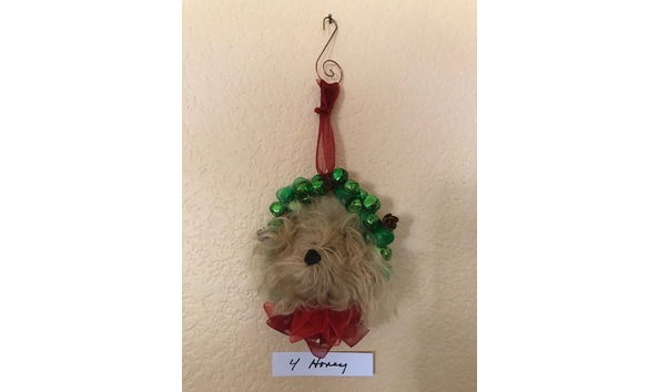 Big image mini magick20230912 88455 bzckyo