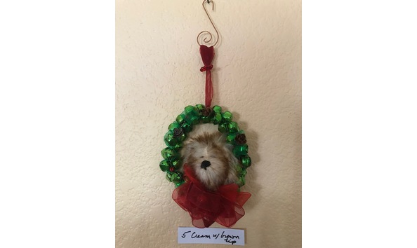 Big image mini magick20230912 88455 bwgvot