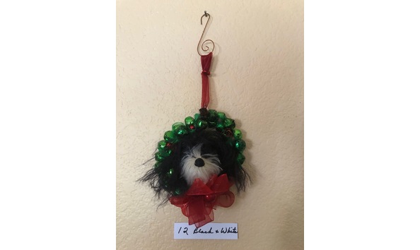 Big image mini magick20230912 88455 oe5lng