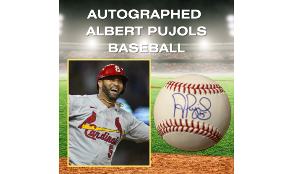 Big image auction items for social media post  1 