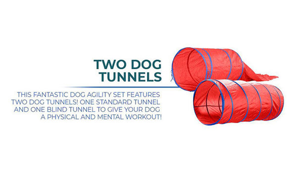 Big image agiity set 3   jennifer jablonski