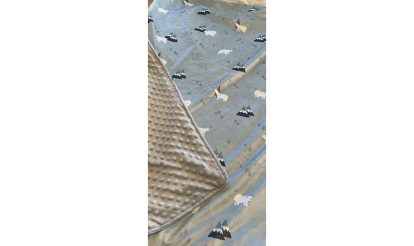 Big image e655530f 2e6a 47e3 8282 3a15f23fcd7e 1 201 a