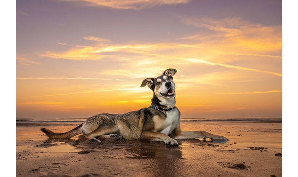 Big image jwh 4   jennifer jablonski