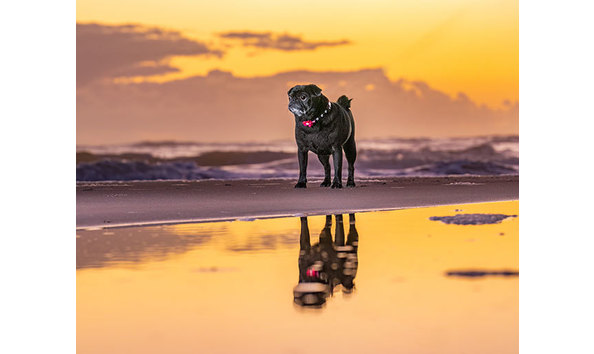 Big image jwh 5   jennifer jablonski