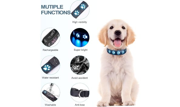 Big image dog collar 2