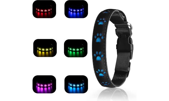 Big image dog collar 1