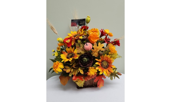 Big image 20230921 115503