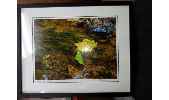 Big image img 20230921 134731184