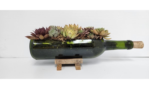 Big image 20230915 152901