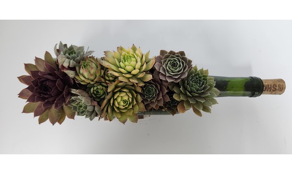 Big image 20230915 152851