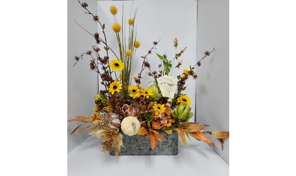 Big image 20230915 150007